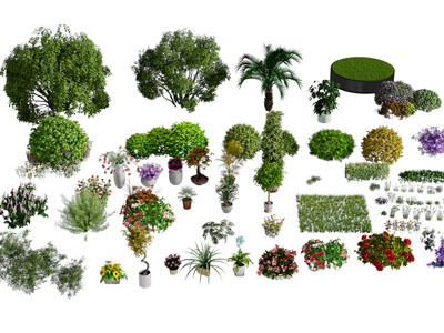 现代花草灌木植物景观小品