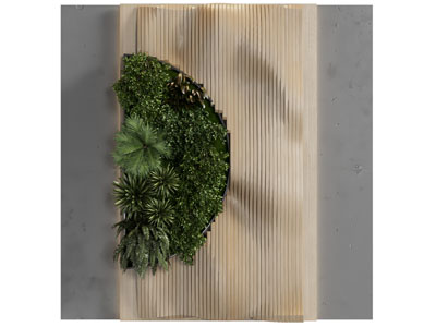 现代装饰植物的背景墙、植物墙