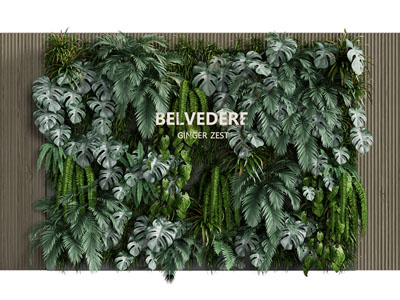 现代植物墙、背景墙