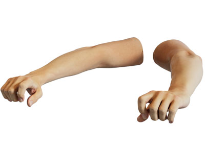 现代伸出来的手臂