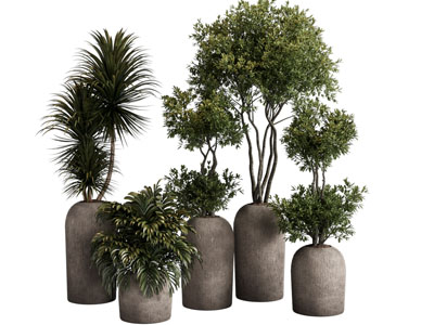 侘寂风土陶花盆盆栽植物