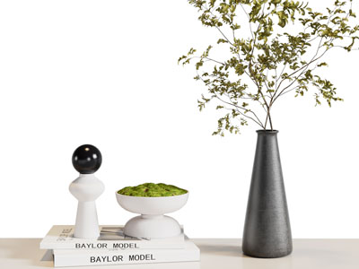 现代书籍、花瓶摆件组合