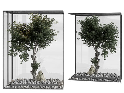 现代室内树木、石子景观园艺小品