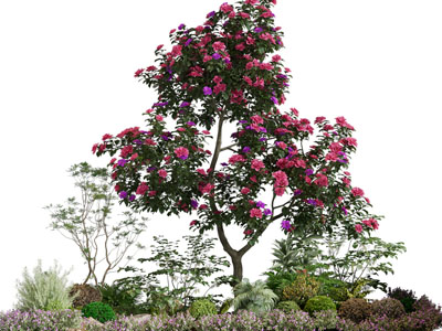 现代花树 花草景观园艺小品