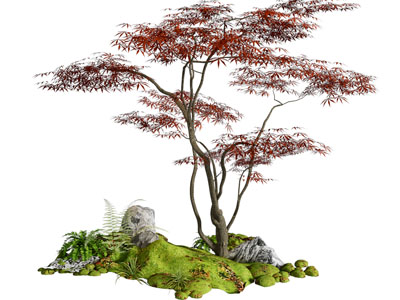 新中式枫树、花草景观园艺小品