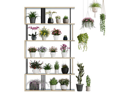 现代花架盆栽植物、吊篮绿植3d模型 现代花架盆栽植物、吊篮绿植