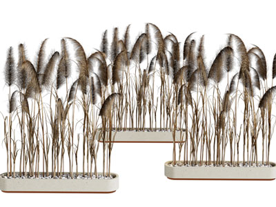 现代花坛 芦苇景观园艺小品