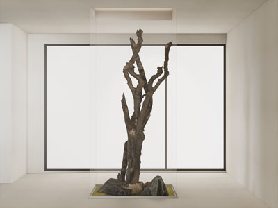 新中式室内枯枝、石头景观园艺小品