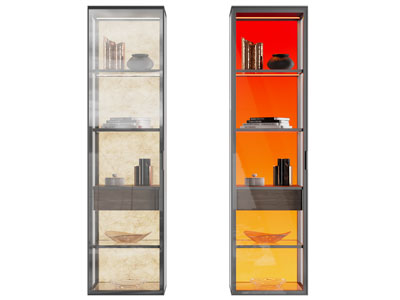 现代玻璃装饰柜