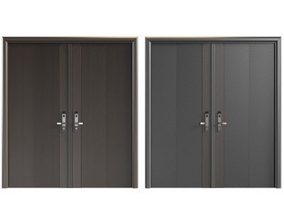 现代双开门、入户平开门