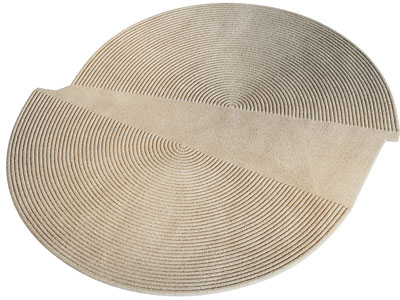 侘寂风异形地毯3d模型 侘寂风异形地毯