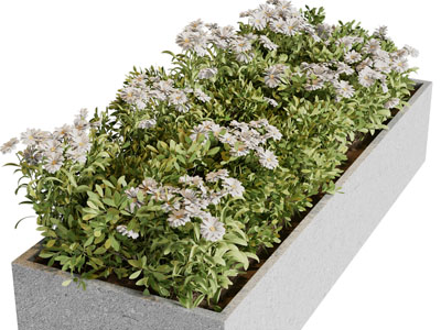 现代户外花坛花草花卉植物景观小品