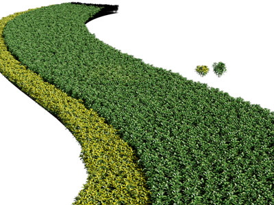 现代公园花草绿植景观园艺小品