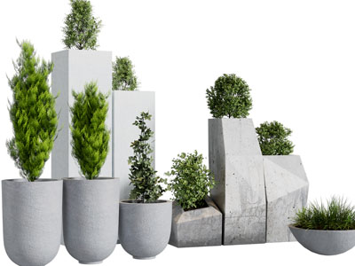 现代水泥花盆盆栽植物