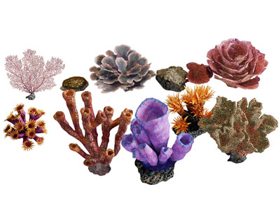 现代珊瑚装饰品摆件