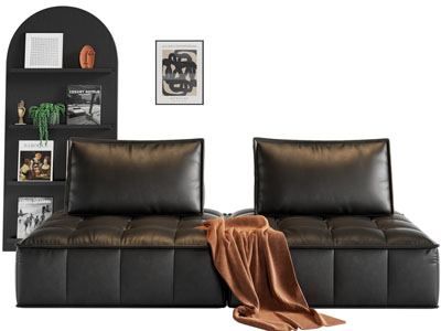 现代黑色多人沙发、装饰架