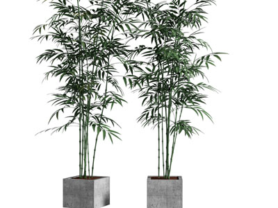 新中式水泥花盆竹子盆栽植物