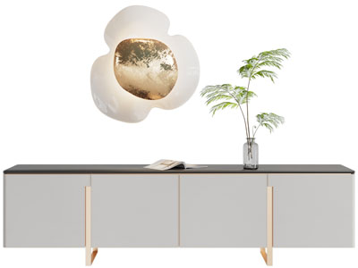 现代花朵造的壁灯 电视柜