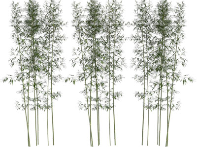 新中式竹子植物