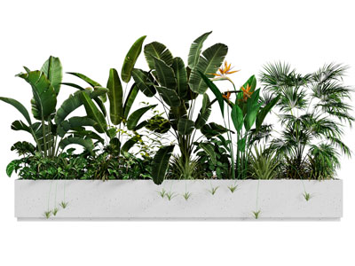 现代花坛花草植物景观园艺小品