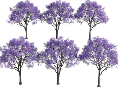 现代开满紫色花朵的树木