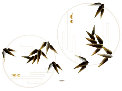 新中式竹叶墙饰