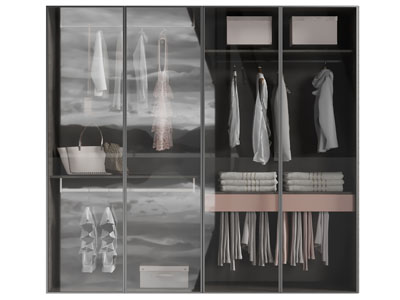 现代玻璃柜门的衣柜3d模型 现代玻璃柜门的衣柜