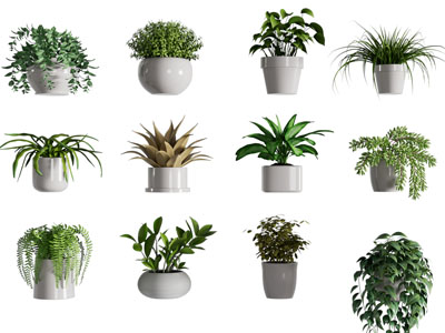 现代花盆盆栽植物、吊篮绿植3d模型 现代花盆盆栽植物、吊篮绿植