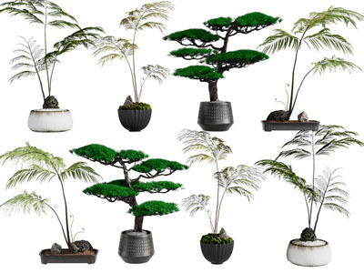 新中式花盆松树盆景盆栽植物