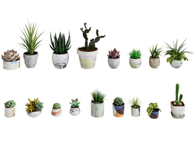 现代陶瓷花盆盆景盆栽