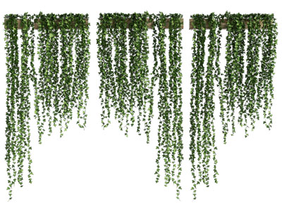 现代花盆藤蔓植物 植物墙