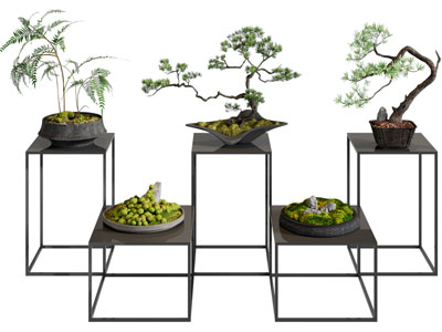 新中式花架 松树盆景盆栽植物 摆件