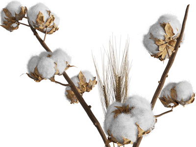 现代花瓶棉花麦穗花卉摆件