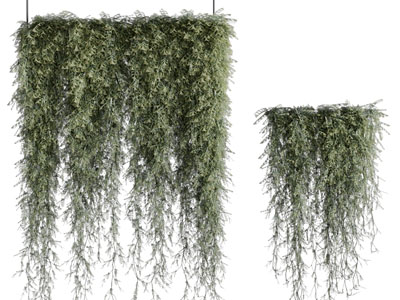 现代藤蔓植物 吊篮绿植3d模型 现代藤蔓植物 吊篮绿植