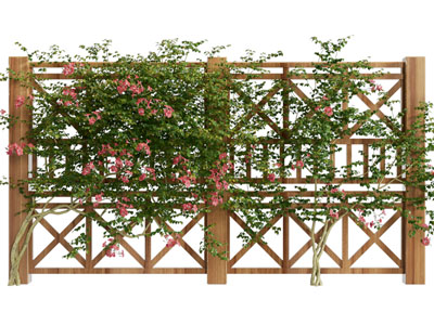 现代户外花架 藤蔓植物 植物墙
