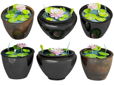 新中式陶瓷荷花池 水缸荷花水景