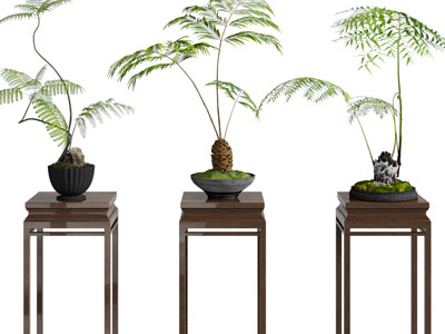 新中式花架 盆景盆栽摆件