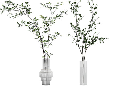 现代玻璃花瓶花卉