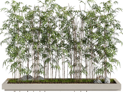 新中式花坛竹子景观园艺小品