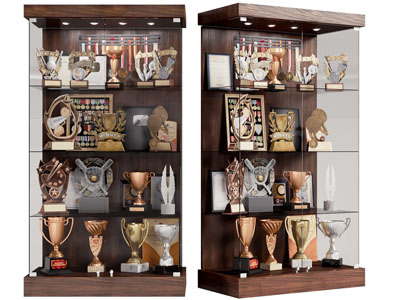 现代实木奖杯奖牌收纳装饰柜