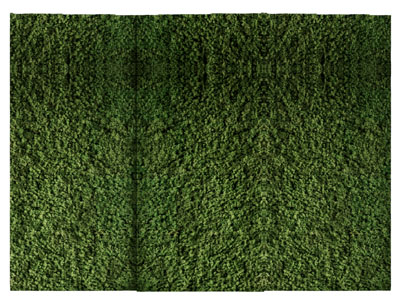 现代植物背景墙 植物墙