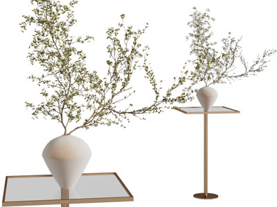 现代角几 花瓶花卉摆件3d模型 现代角几 花瓶花卉摆件