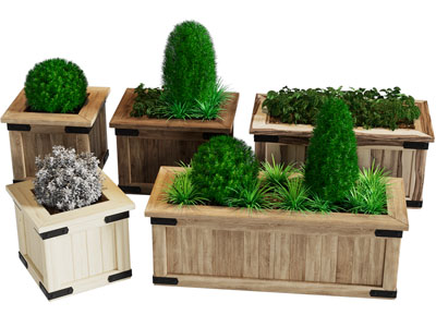 现代户外实木花盆盆栽植物