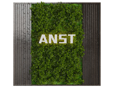 现代实木框架的植物墙 背景墙 造墙