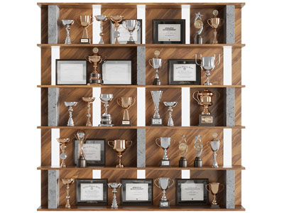 现代奖状奖杯奖牌装饰柜