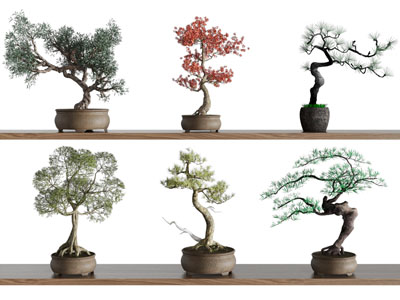 新中式松树盆景盆栽植物摆件