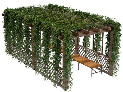 欧式花架、藤蔓植物凉亭、实木廊架