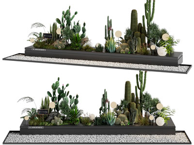 现代花坛多肉植物景观园艺小品