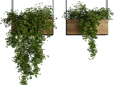 现代木质花盆吊篮绿植3d模型 现代木质花盆吊篮绿植