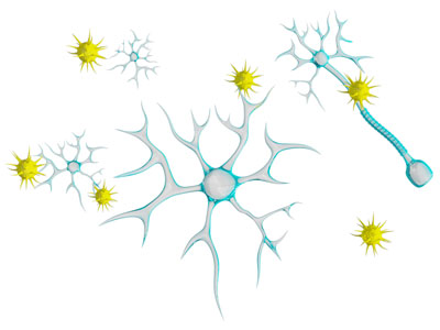 现代神经元、结节3d模型 现代神经元、结节